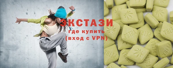 крисы Богородицк
