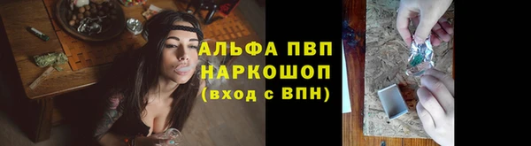 стафф Богданович