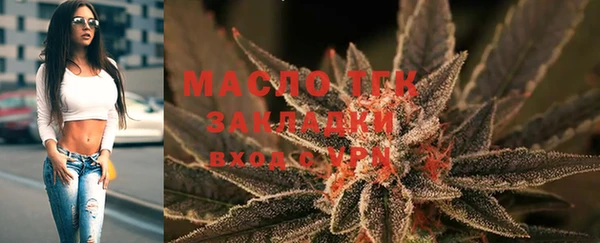 крисы Богородицк